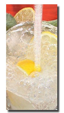 Zitrone und Sodawasser
